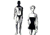 mens body shape analysis